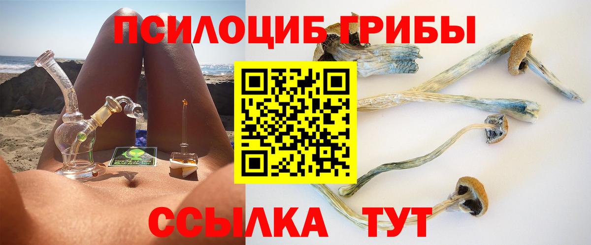Галлюциногенные грибы Psilocybe  Вход с VPN  Тверь 